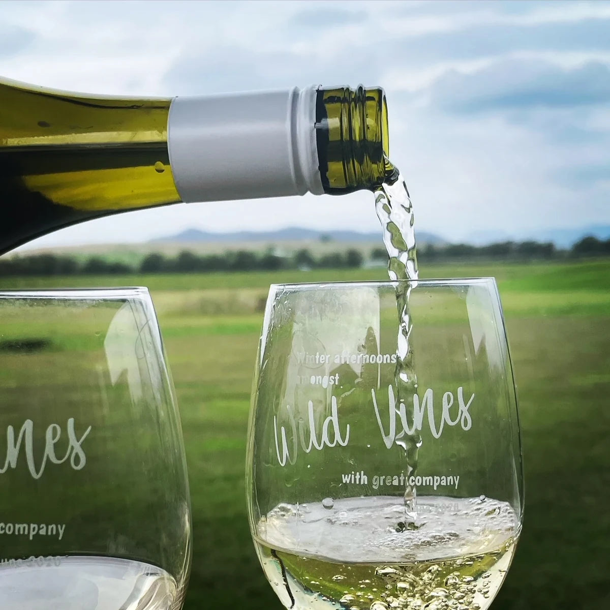 White wine being poured into a branded Wild Vines glass with the vineyard behind